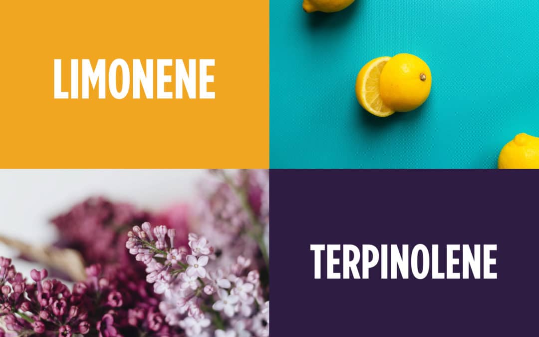 The Farmacy Berkeley Guide to Terpenes — Limonene & Terpinolene