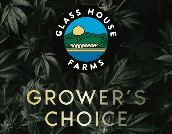 Introducing Grower’s Choice: The Highest Standard from Glass House Farms